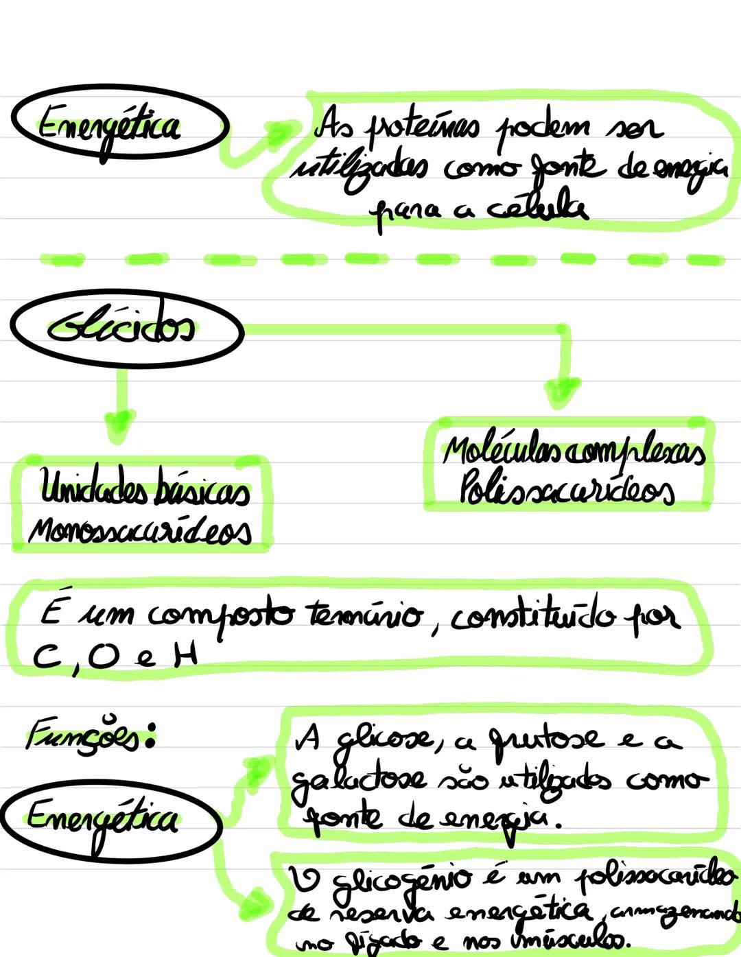 Alimentação saudável
Nutrientes
Alimentação
Brocesso que permite
obter os alimentos mecessários
às suas funções vitais
Alimento
Substâ