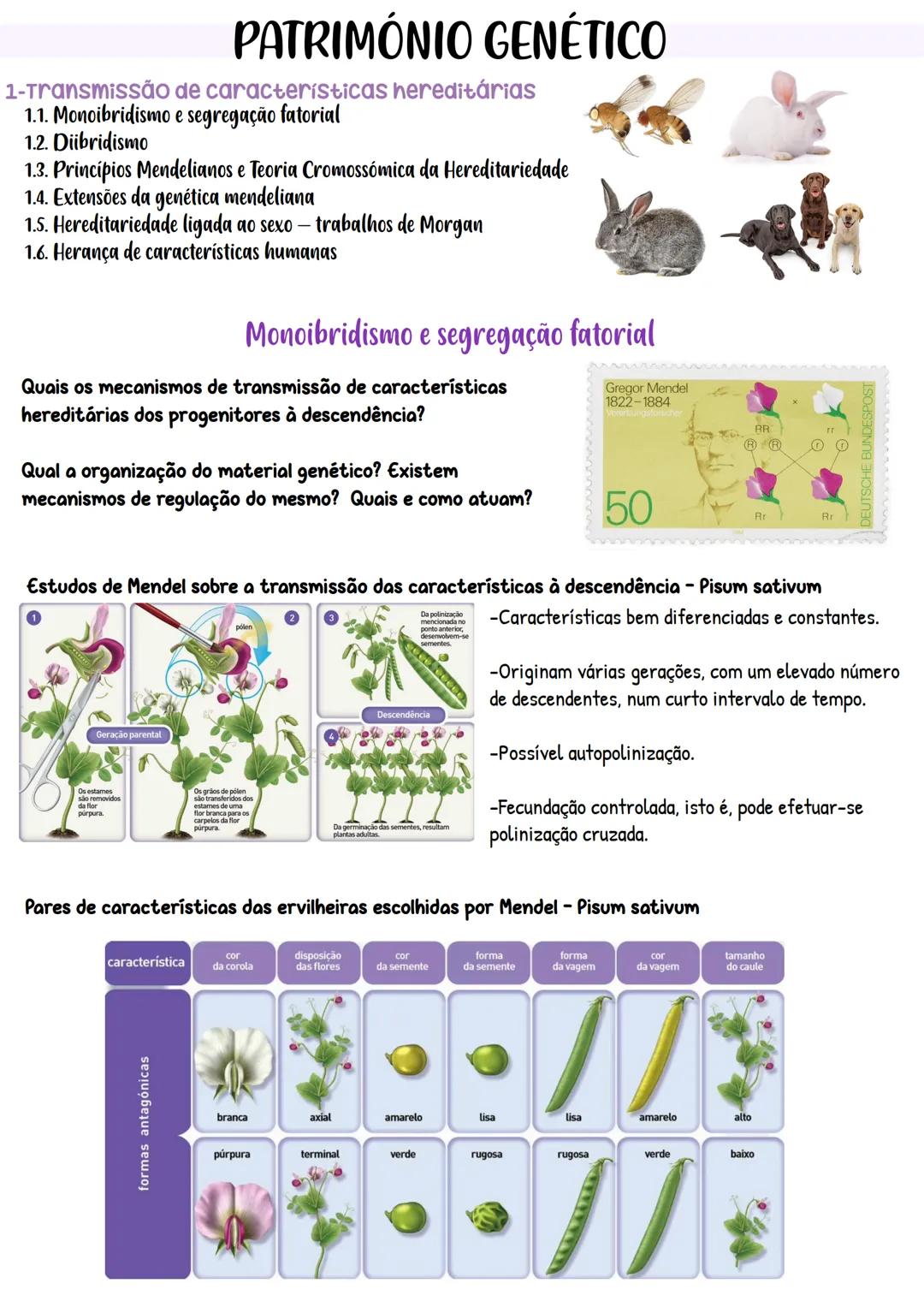 # PATRIMÓNIO GENÉTICO
1-Transmissão de características hereditárias
1.1. Monoibridismo e segregação fatorial
1.2. Diibridismo
1.3. Princípi