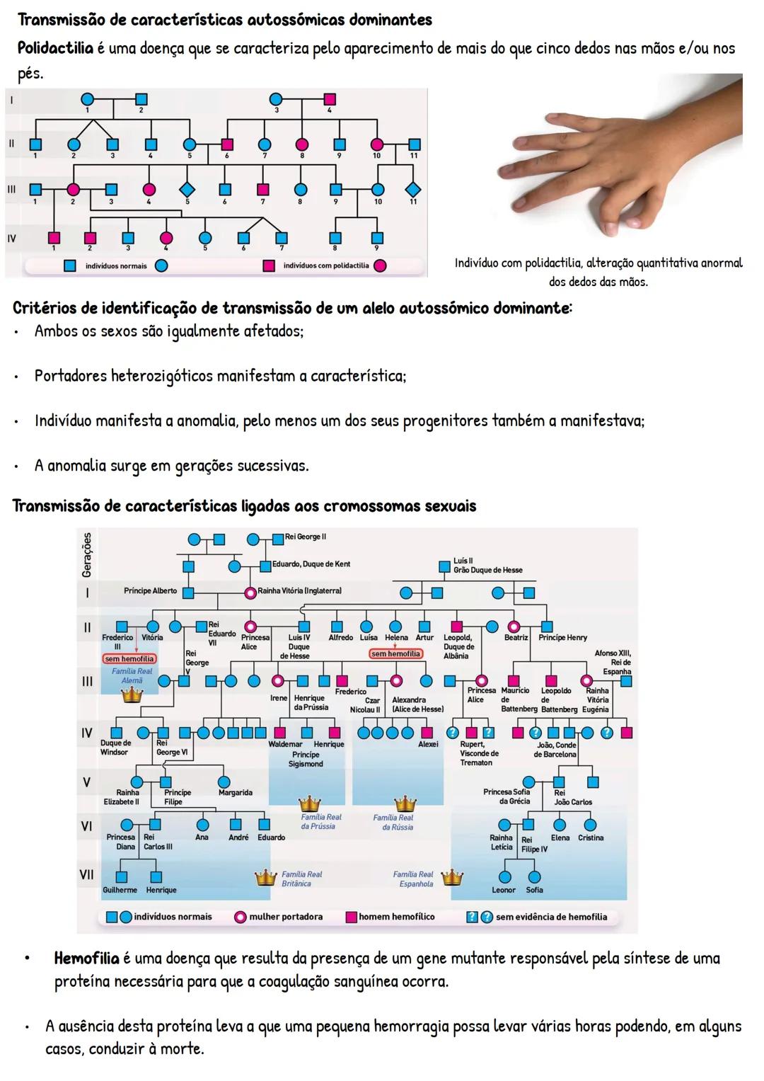 # PATRIMÓNIO GENÉTICO
1-Transmissão de características hereditárias
1.1. Monoibridismo e segregação fatorial
1.2. Diibridismo
1.3. Princípi
