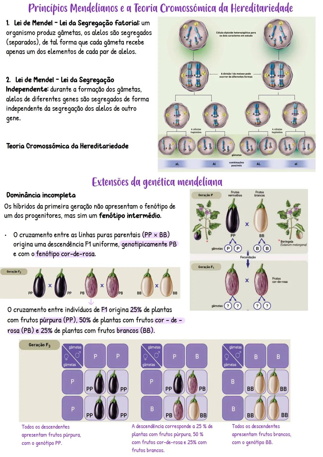 # PATRIMÓNIO GENÉTICO
1-Transmissão de características hereditárias
1.1. Monoibridismo e segregação fatorial
1.2. Diibridismo
1.3. Princípi