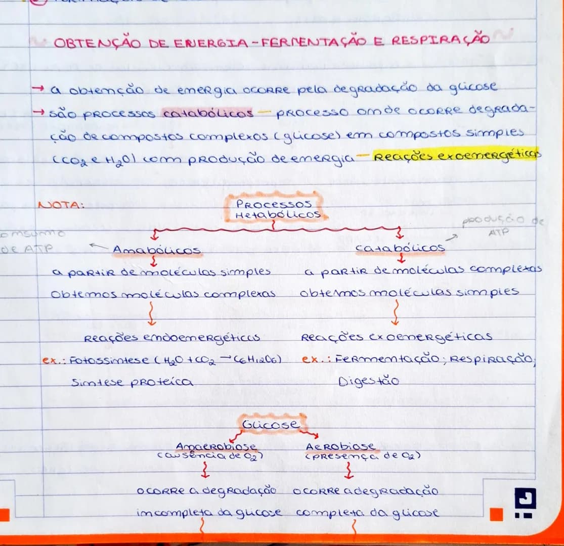 OBTENÇÃO DE ERJERGIA - FERMENTAÇÃO E RESPIRAÇÃO
→ a obtenção de emergia ocorre pela degradação da glicose
→ são processos catabólicos - proc