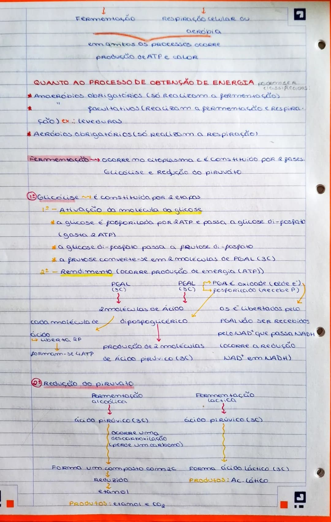 OBTENÇÃO DE ERJERGIA - FERMENTAÇÃO E RESPIRAÇÃO
→ a obtenção de emergia ocorre pela degradação da glicose
→ são processos catabólicos - proc
