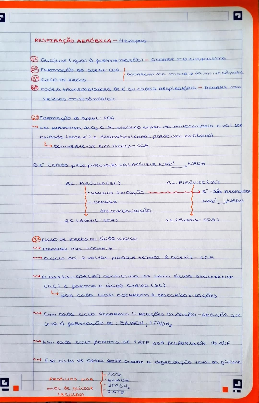 OBTENÇÃO DE ERJERGIA - FERMENTAÇÃO E RESPIRAÇÃO
→ a obtenção de emergia ocorre pela degradação da glicose
→ são processos catabólicos - proc