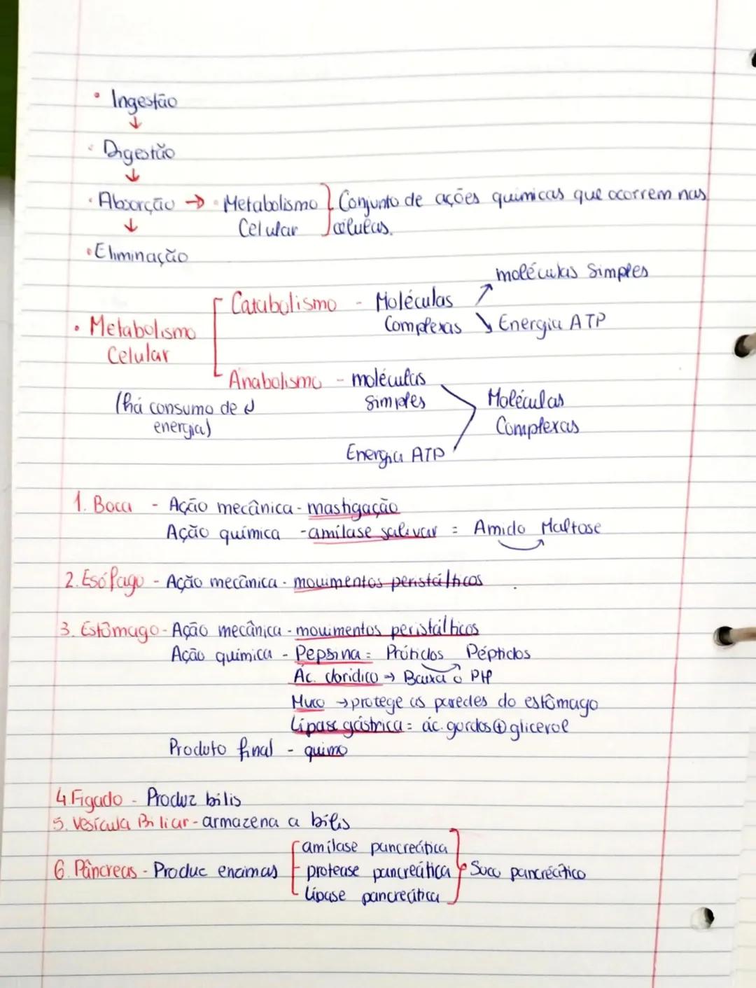 Teste-16/12
Nutrientes e alimentação saudável - 40 a 55
Sistema digestico - 56 a 73
• Os nutrientes são moléculas constituintes dos alimento