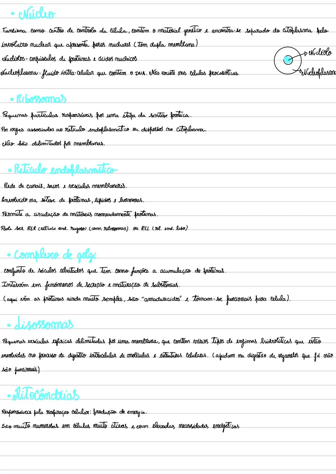 teokia
CELULAR
Todos os organismos são formados por uma ou mais celulas - a celula e a unidade basica estrutural e funcional
de todos os ser