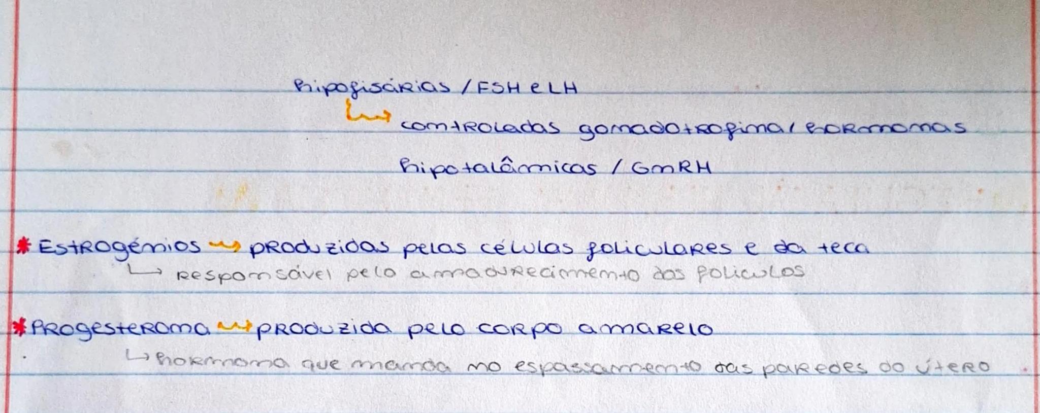 --- OCR Start ---
6600.00
D
vies
BIOLOGIA
REPRODUÇÃO HUMANA
Reprodução humana → 2 fenómenos
gametogenese (meiose)
fecundação
permitem a mamu