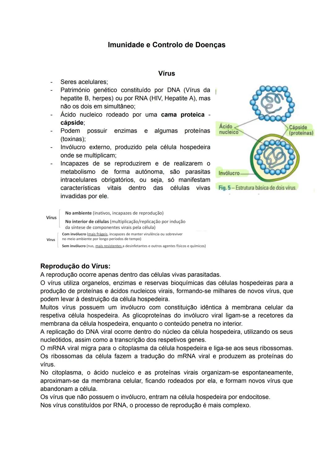 # Imunidade e Controlo de Doenças
## Vírus
- Seres acelulares;
- Património genético constituído por DNA (Vírus da
hepatite B, herpes) ou