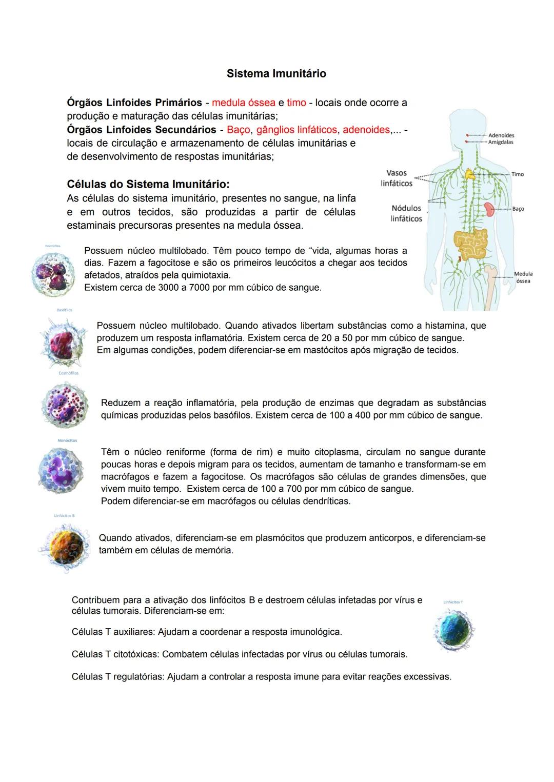 # Imunidade e Controlo de Doenças
## Vírus
- Seres acelulares;
- Património genético constituído por DNA (Vírus da
hepatite B, herpes) ou