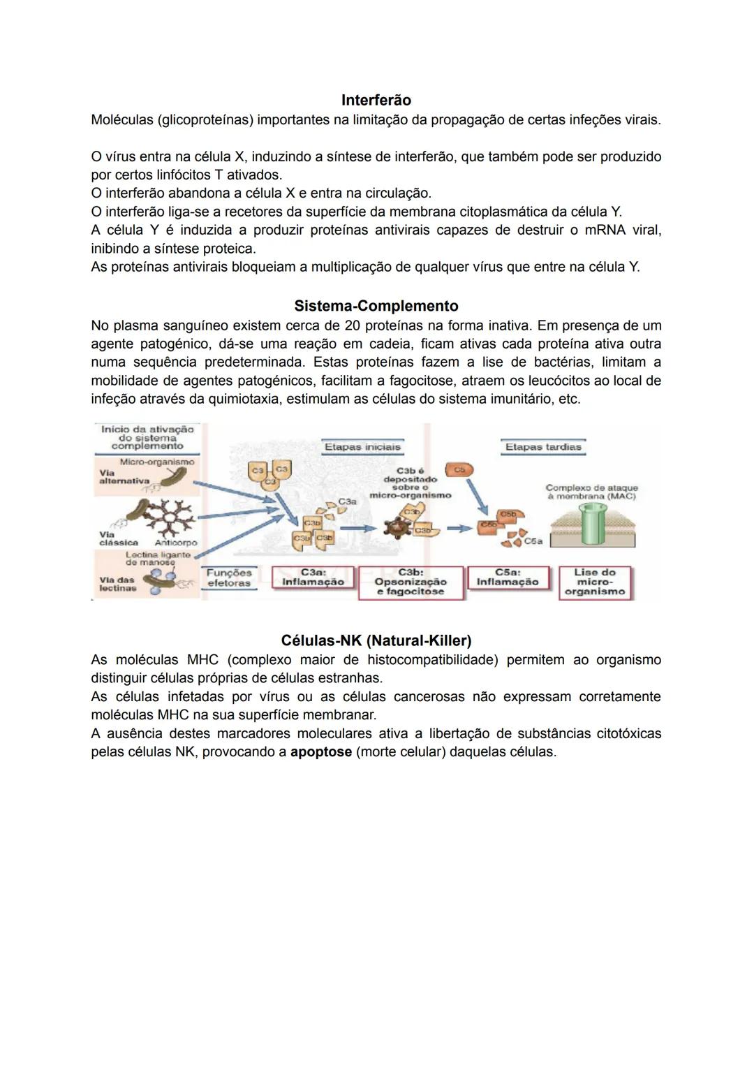 # Imunidade e Controlo de Doenças
## Vírus
- Seres acelulares;
- Património genético constituído por DNA (Vírus da
hepatite B, herpes) ou