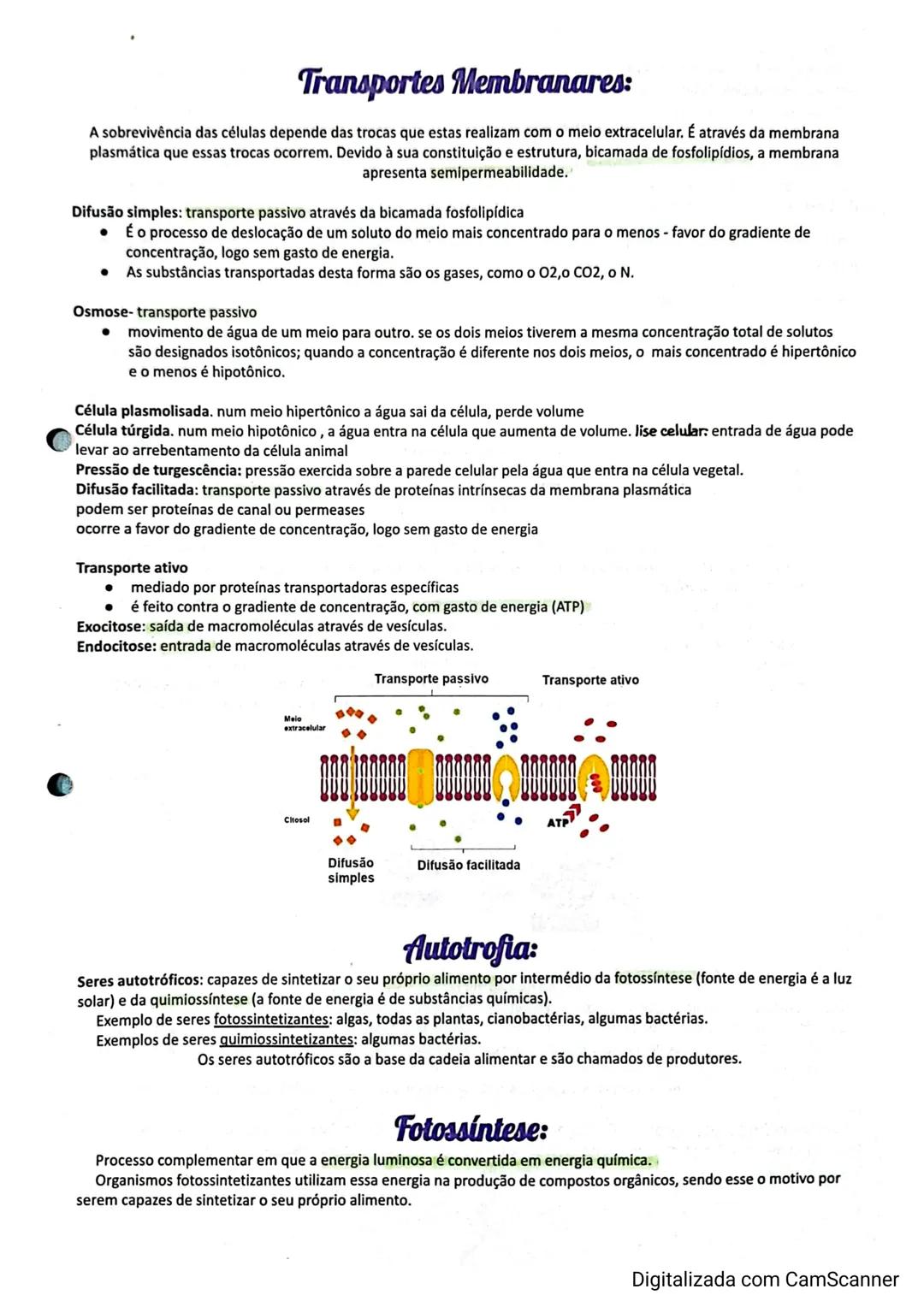 Transportes Membranares:
A sobrevivência das células depende das trocas que estas realizam com o meio extracelular. É através da membrana
pl