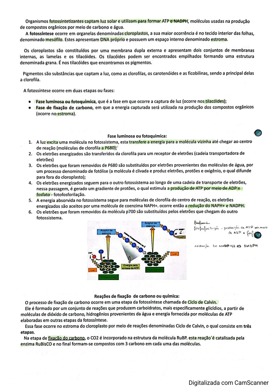 Transportes Membranares:
A sobrevivência das células depende das trocas que estas realizam com o meio extracelular. É através da membrana
pl