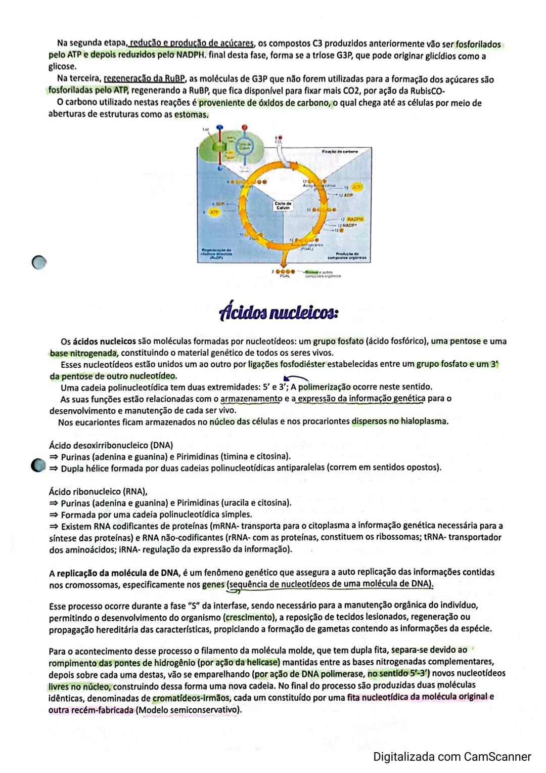 Transportes Membranares:
A sobrevivência das células depende das trocas que estas realizam com o meio extracelular. É através da membrana
pl