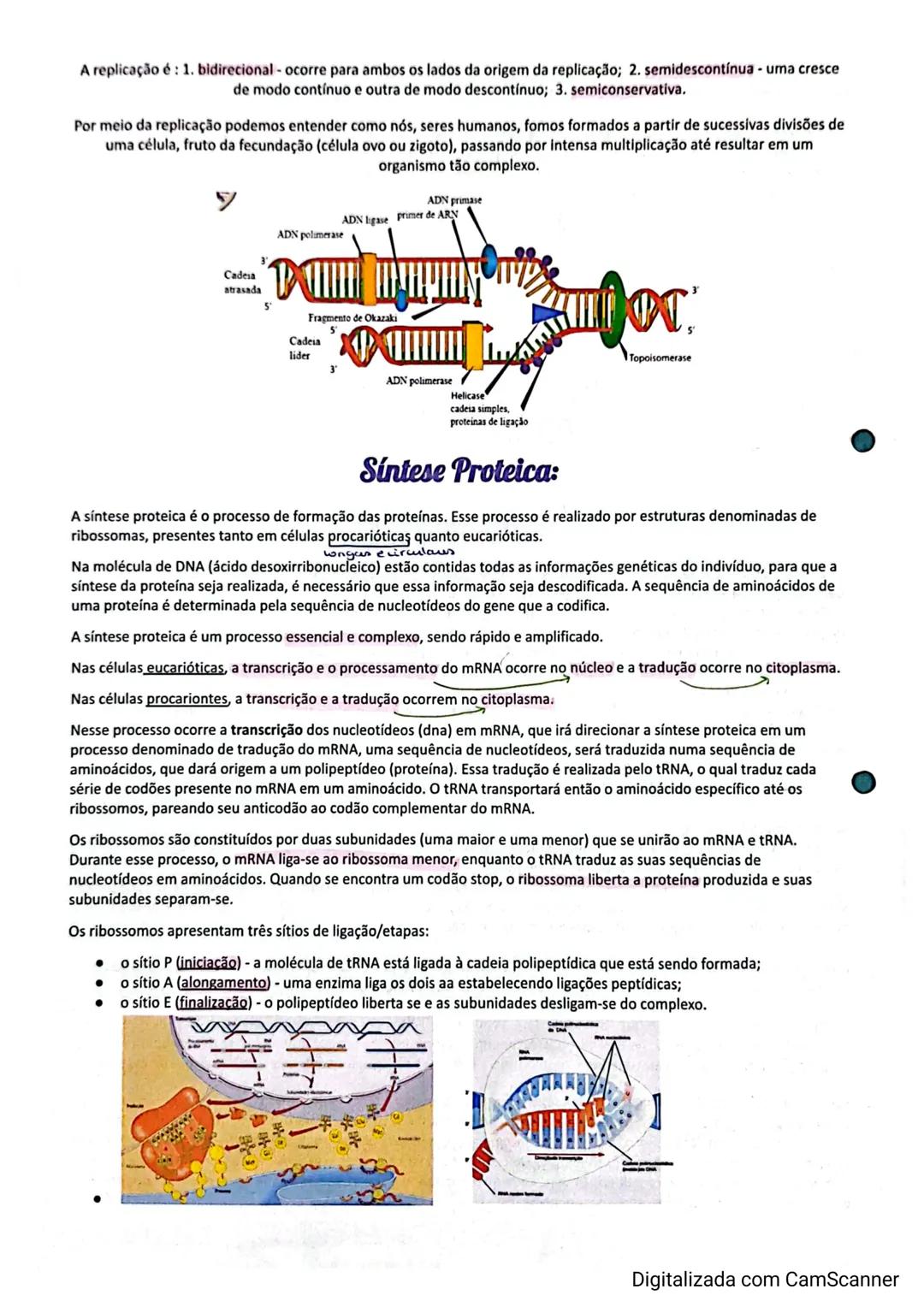 Transportes Membranares:
A sobrevivência das células depende das trocas que estas realizam com o meio extracelular. É através da membrana
pl