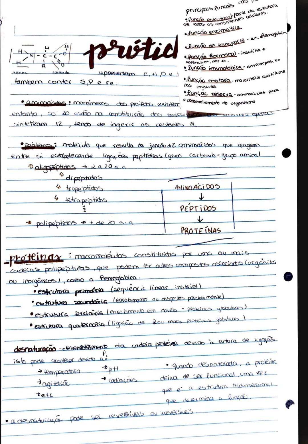 # -biomoléculas:
formadas por compostos inorgânicos (agua, sai's minerais) e
compostos orgânicos (glicidos, protidos, lipidos, acielos nucl