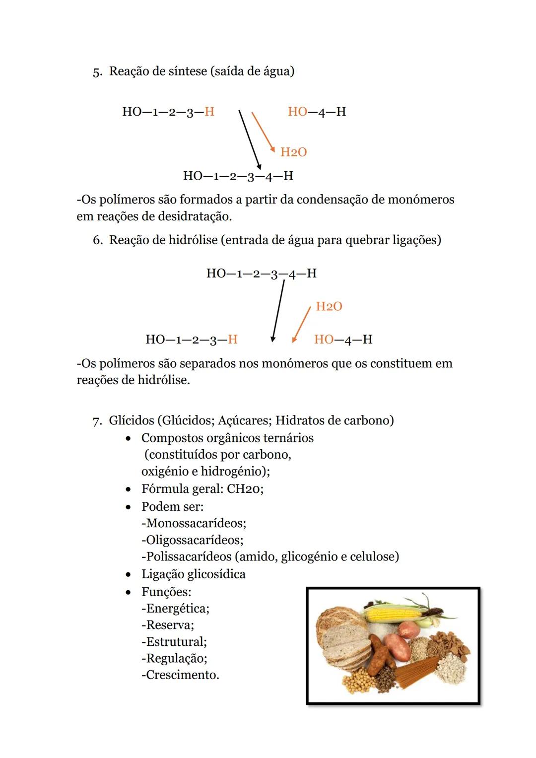 Células e Biomoléculas
1. Organização biológica
• Organismos unicelulares-
compostos por uma única
célula, capaz de realizar
todas as funçõe