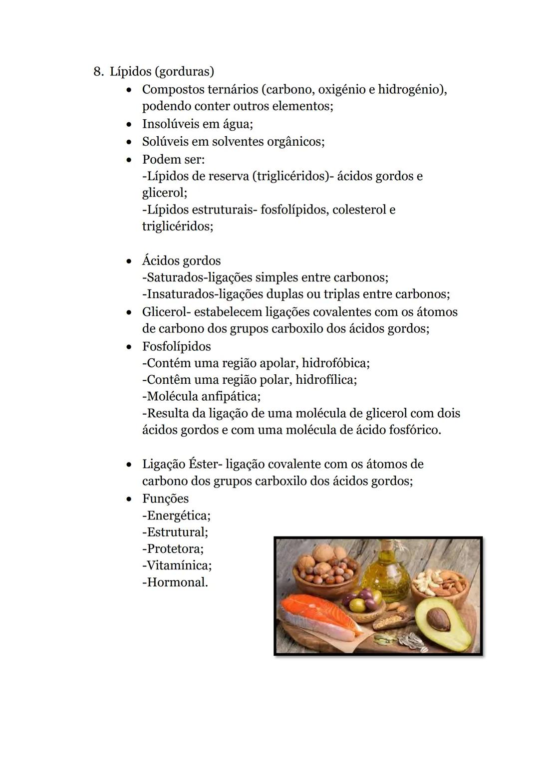 Células e Biomoléculas
1. Organização biológica
• Organismos unicelulares-
compostos por uma única
célula, capaz de realizar
todas as funçõe