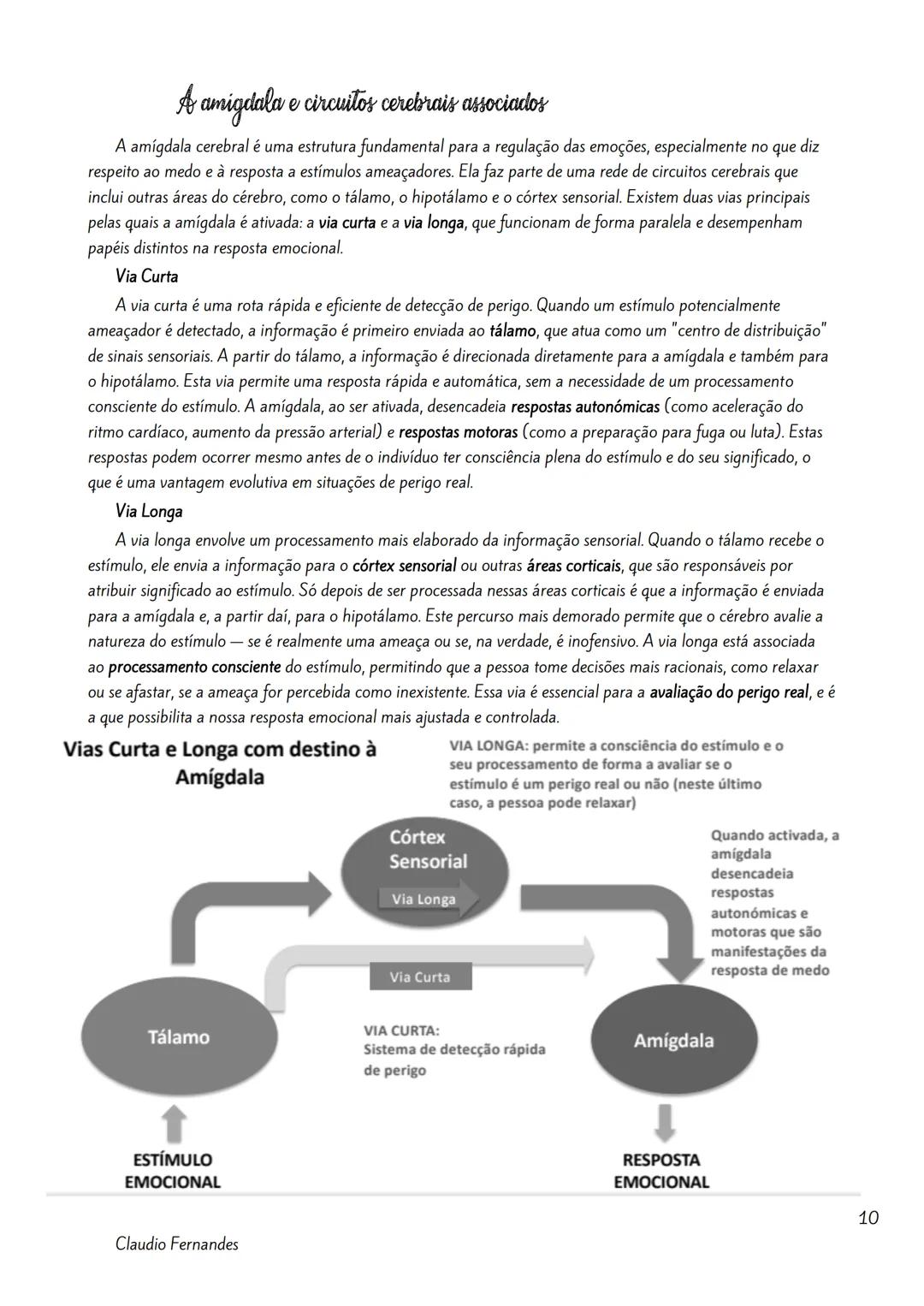--- OCR Start ---
Bases neurobiológicas das emoções
Índice
Neuroanatomia Funcional da Emoção.
2
Amigdala
2
As Emoções e a Formulação do Circ