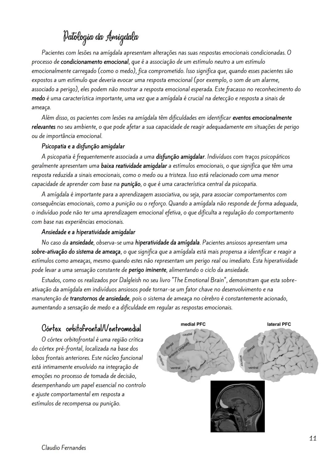 --- OCR Start ---
Bases neurobiológicas das emoções
Índice
Neuroanatomia Funcional da Emoção.
2
Amigdala
2
As Emoções e a Formulação do Circ