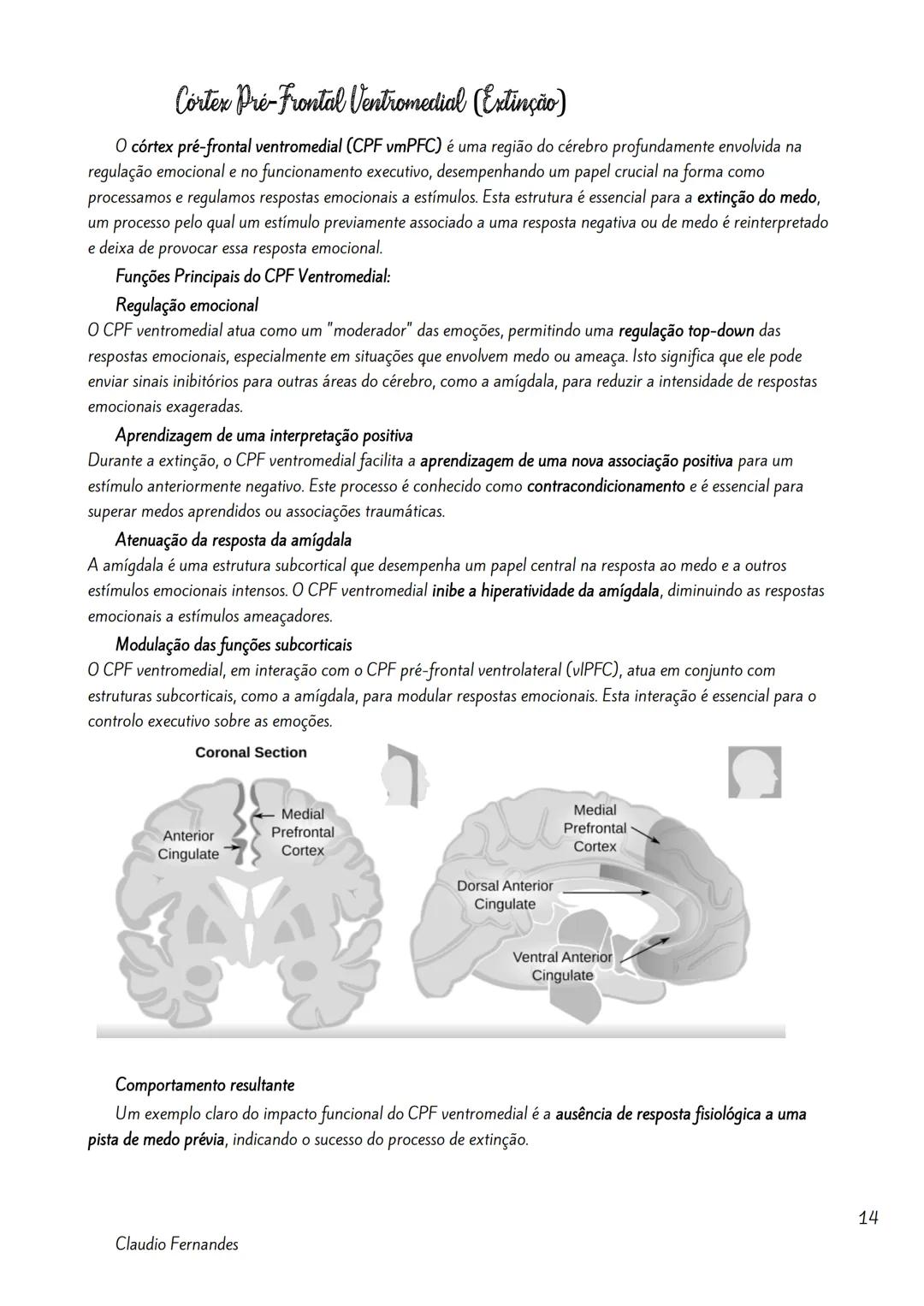--- OCR Start ---
Bases neurobiológicas das emoções
Índice
Neuroanatomia Funcional da Emoção.
2
Amigdala
2
As Emoções e a Formulação do Circ