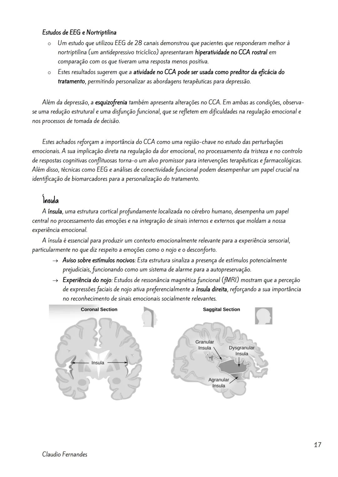 --- OCR Start ---
Bases neurobiológicas das emoções
Índice
Neuroanatomia Funcional da Emoção.
2
Amigdala
2
As Emoções e a Formulação do Circ