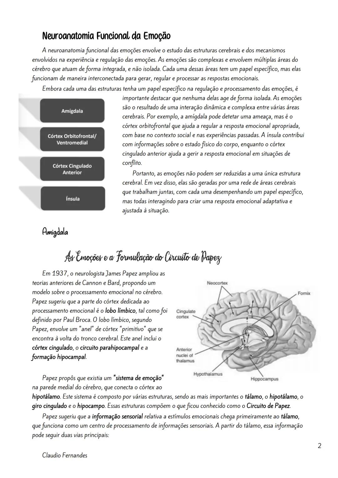 --- OCR Start ---
Bases neurobiológicas das emoções
Índice
Neuroanatomia Funcional da Emoção.
2
Amigdala
2
As Emoções e a Formulação do Circ
