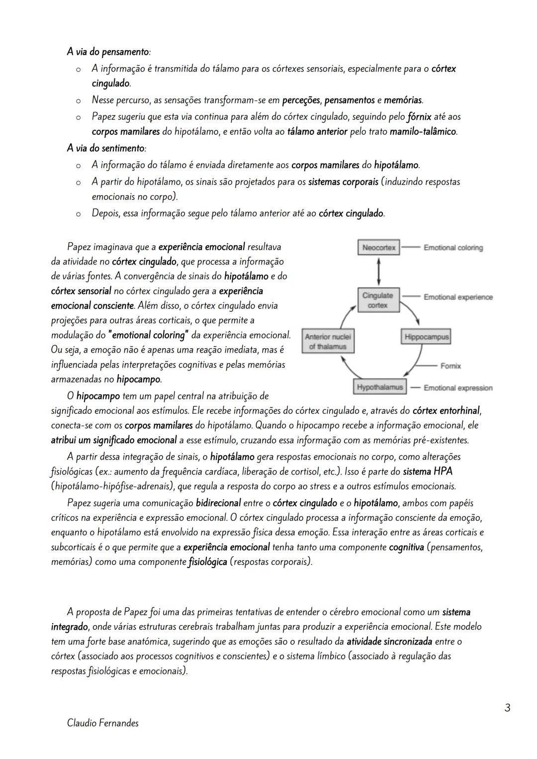 --- OCR Start ---
Bases neurobiológicas das emoções
Índice
Neuroanatomia Funcional da Emoção.
2
Amigdala
2
As Emoções e a Formulação do Circ