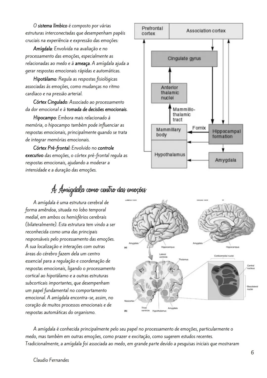 --- OCR Start ---
Bases neurobiológicas das emoções
Índice
Neuroanatomia Funcional da Emoção.
2
Amigdala
2
As Emoções e a Formulação do Circ