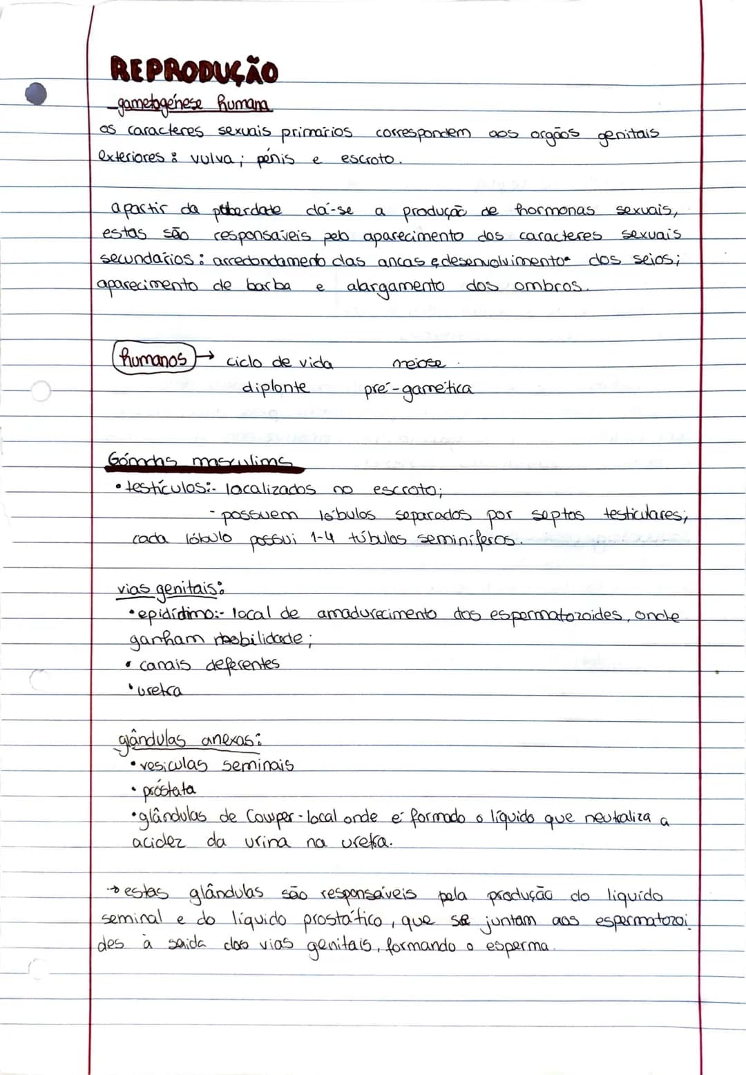 # REPRODUÇÃO
gametogénese humana
os caracteres sexuais primarios correspondem aos orgãos genitais
exteriores: vulva; penis e escroto
apar