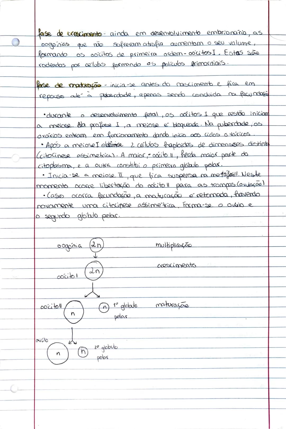 # REPRODUÇÃO
gametogénese humana
os caracteres sexuais primarios correspondem aos orgãos genitais
exteriores: vulva; penis e escroto
apar