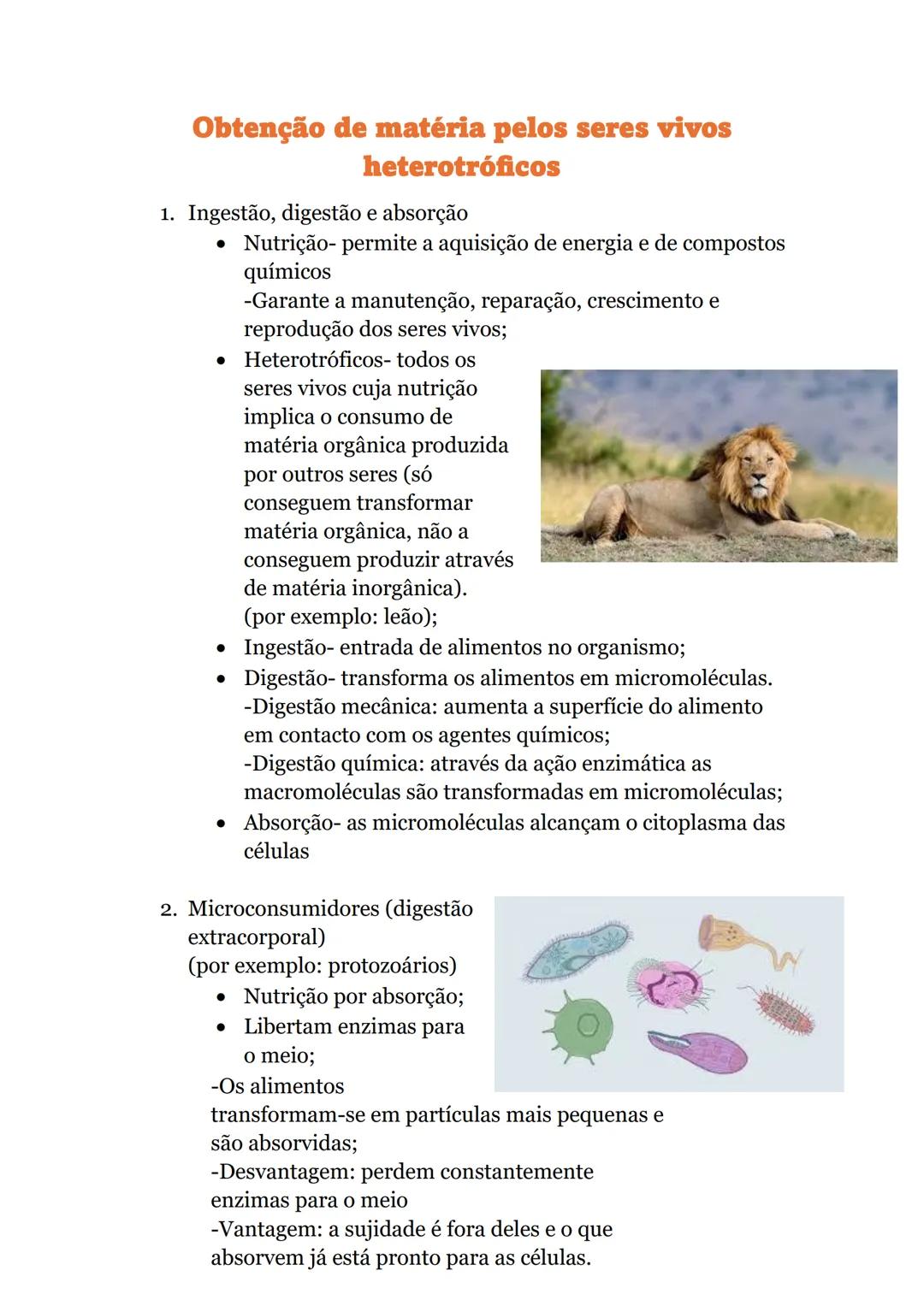 # Obtenção de matéria pelos seres vivos
## heterotróficos
1. Ingestão, digestão e absorção
* Nutrição- permite a aquisição de energia e
