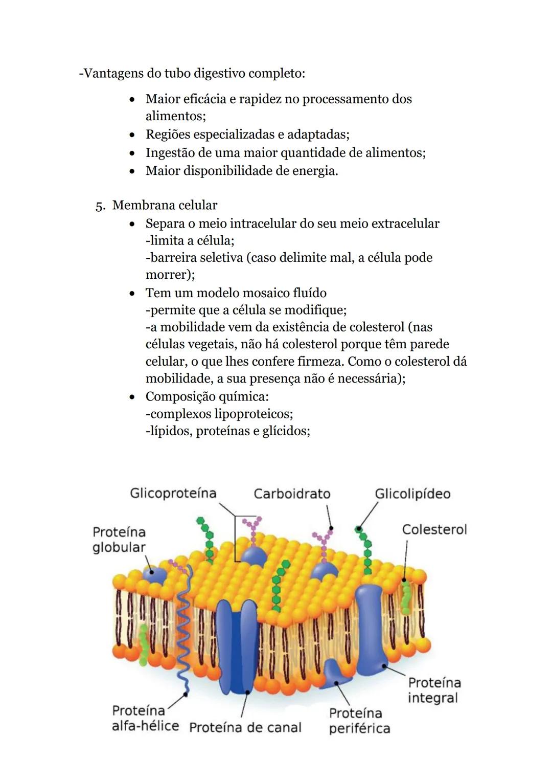 # Obtenção de matéria pelos seres vivos
## heterotróficos
1. Ingestão, digestão e absorção
* Nutrição- permite a aquisição de energia e