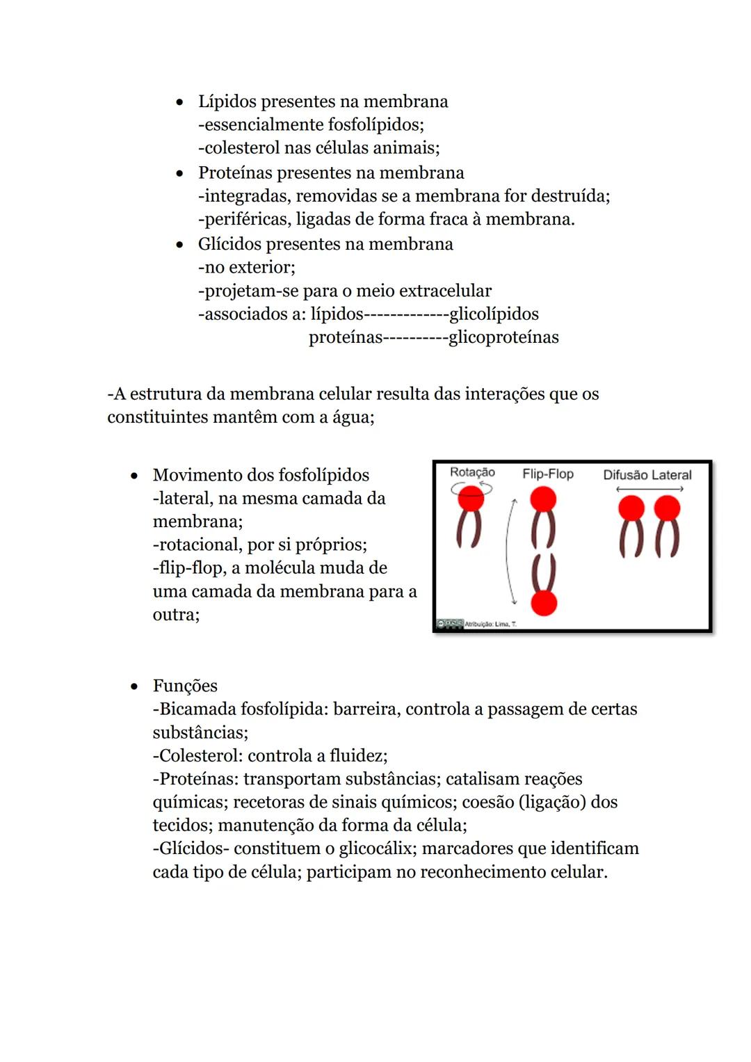 # Obtenção de matéria pelos seres vivos
## heterotróficos
1. Ingestão, digestão e absorção
* Nutrição- permite a aquisição de energia e