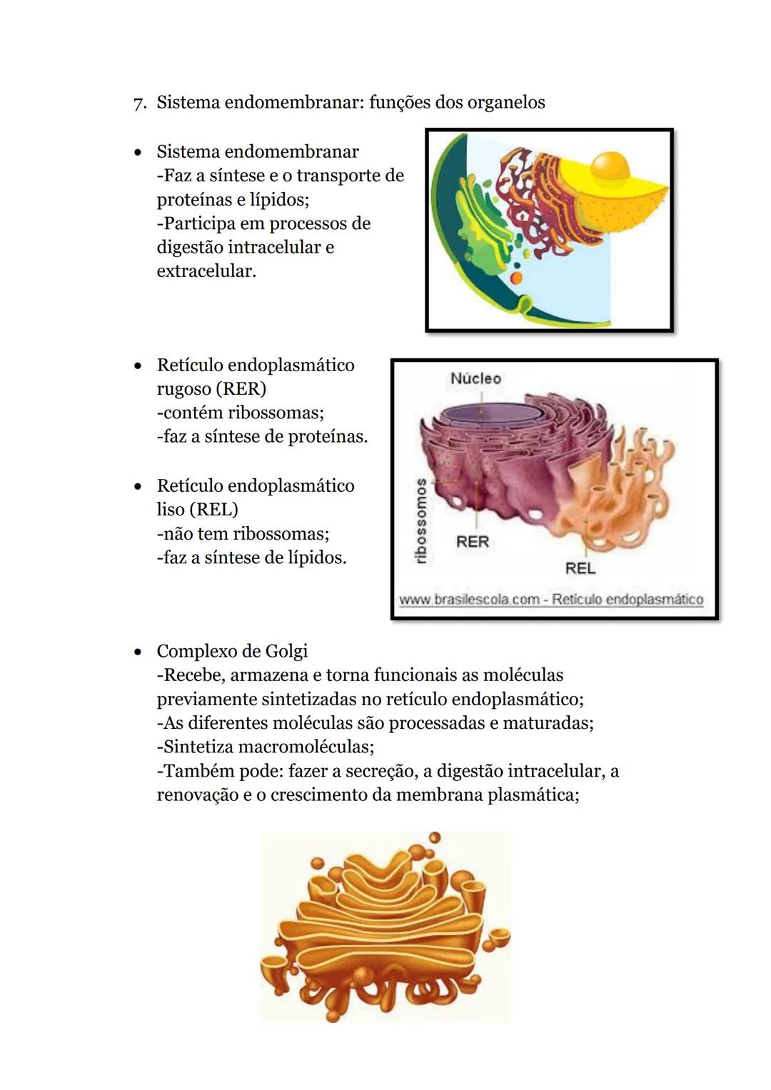 # Obtenção de matéria pelos seres vivos
## heterotróficos
1. Ingestão, digestão e absorção
* Nutrição- permite a aquisição de energia e