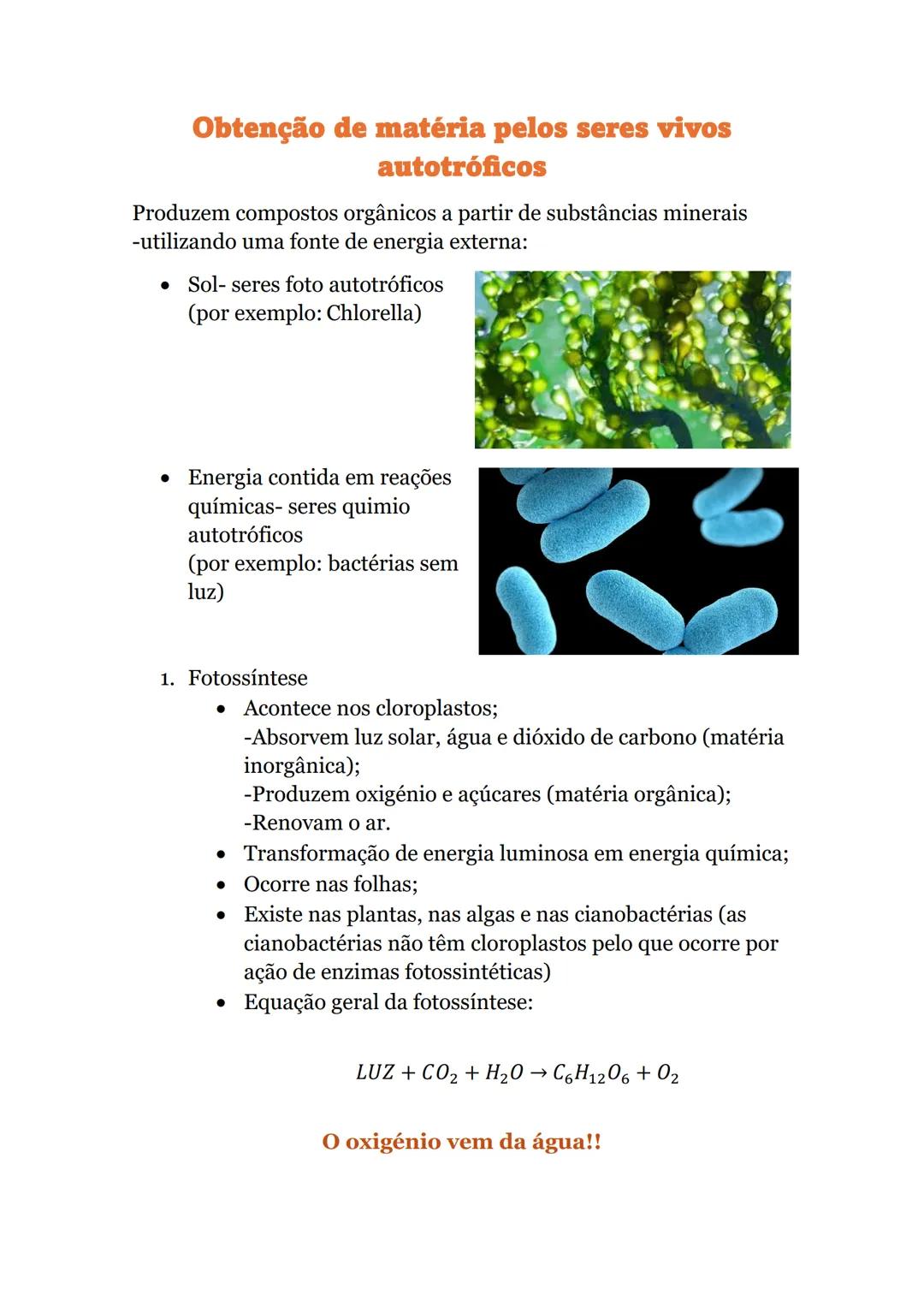 # Obtenção de matéria pelos seres vivos
autotróficos
Produzem compostos orgânicos a partir de substâncias minerais
-utilizando uma fonte de