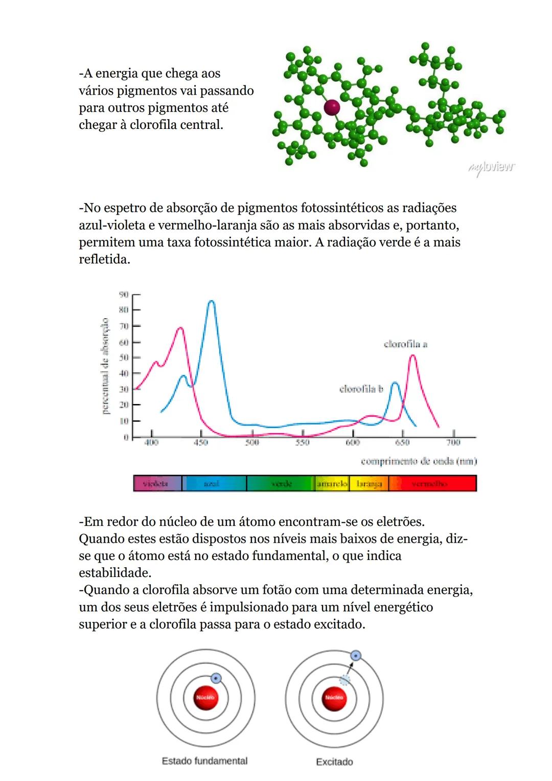 # Obtenção de matéria pelos seres vivos
autotróficos
Produzem compostos orgânicos a partir de substâncias minerais
-utilizando uma fonte de