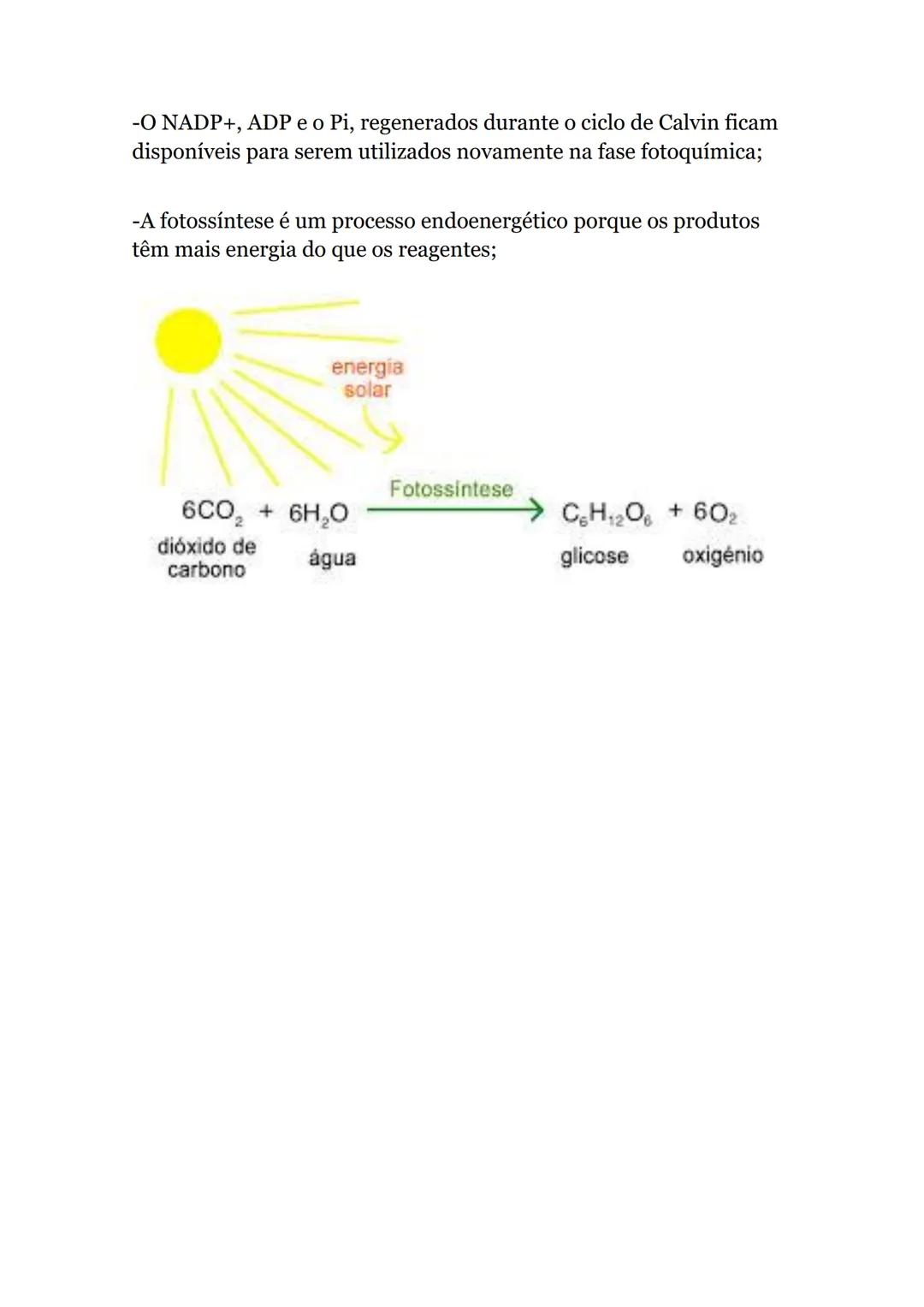 # Obtenção de matéria pelos seres vivos
autotróficos
Produzem compostos orgânicos a partir de substâncias minerais
-utilizando uma fonte de