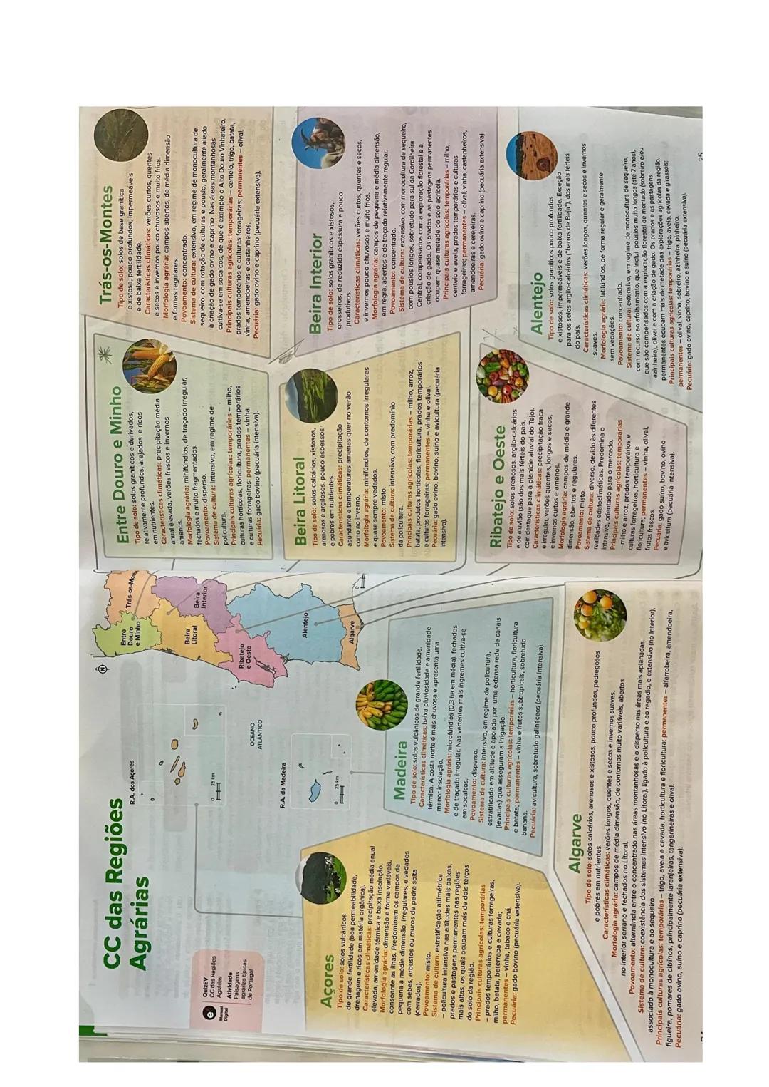 11° Ano - GEO
AGRICULTURA
Espaço rural - Compreende os espaços agrário e agrícola e caracteriza-se pelo
predomínio de atividades ligadas à e