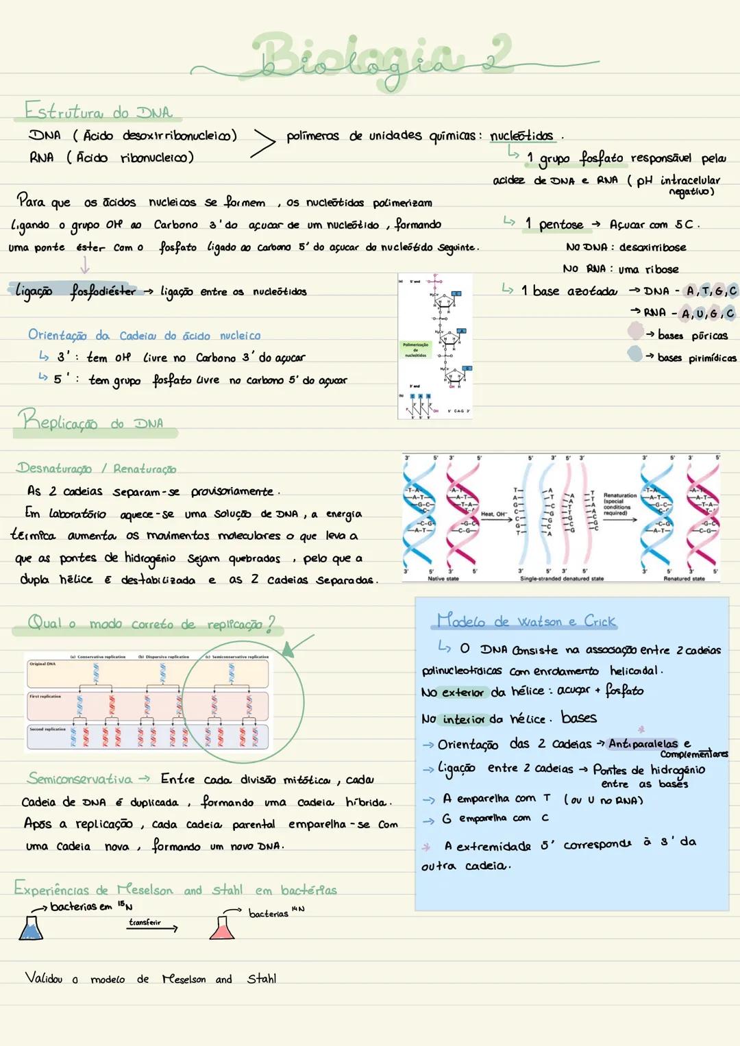 Estrutura do DNA
DNA (Acido desoxirribonucleico)
RNA (Acido ribonucleico)
Biologia 2
polímeros de unidades químicas: nucleotidos.
os nucleo