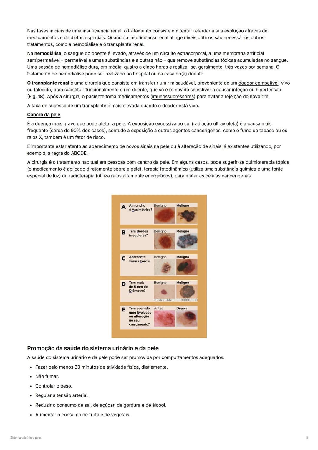 Sistema Urinário e Pele – página 5