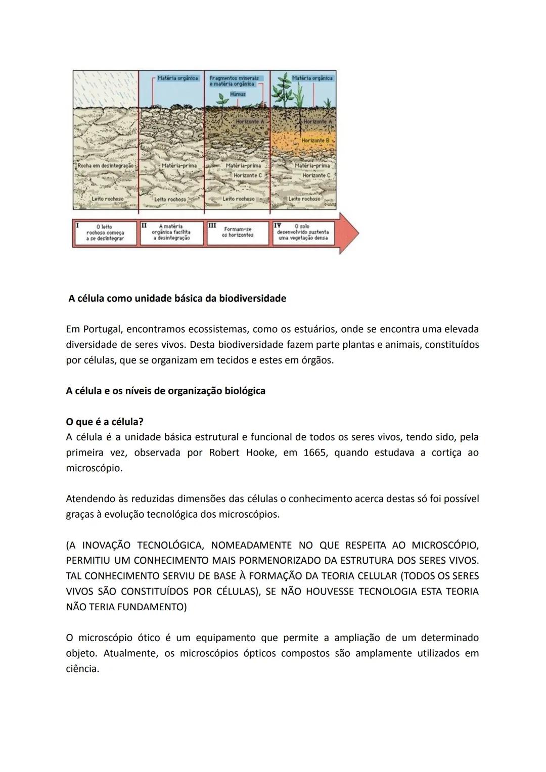 Alterações na superfície terrestre, na temperatura e na composição da atmosfera
No início da formação da Terra existia uma enorme atividade