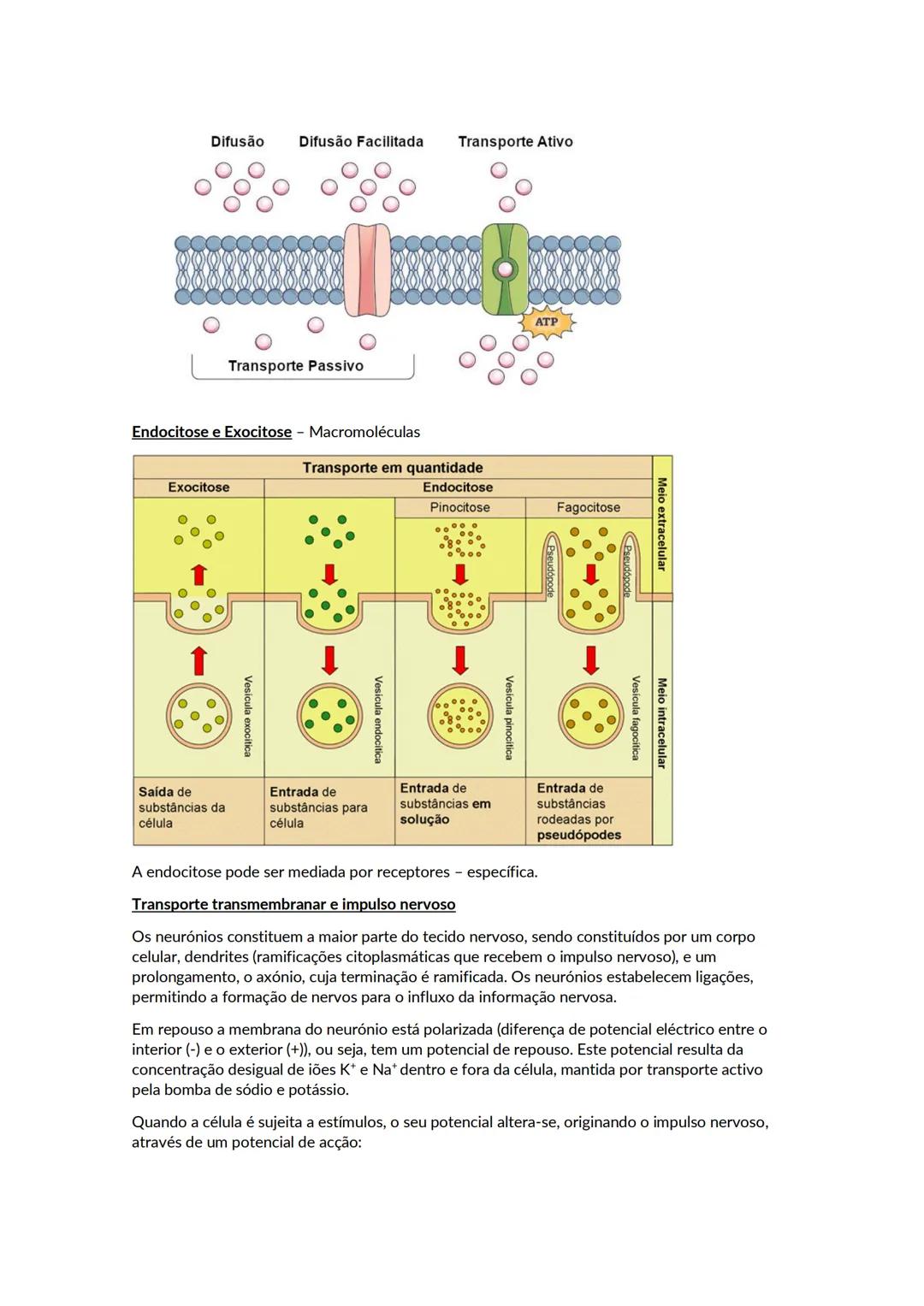 # A biosfera
Biosfera - conjunto de todos os locais da Terra onde é possível encontrar vida, os organismos que ai habitam e as inter-relaçõ