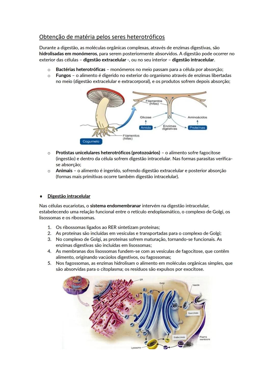 # A biosfera
Biosfera - conjunto de todos os locais da Terra onde é possível encontrar vida, os organismos que ai habitam e as inter-relaçõ