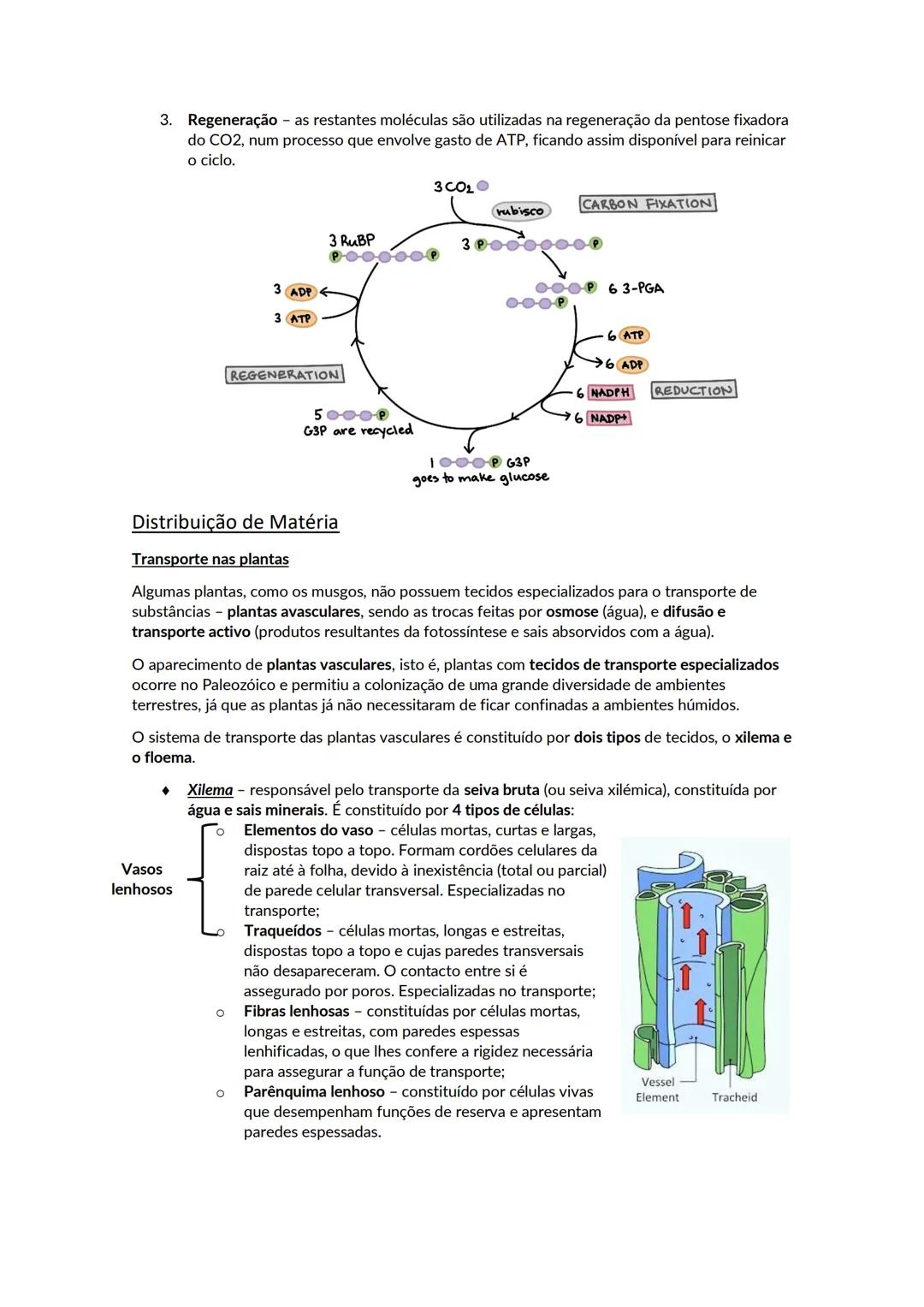 # A biosfera
Biosfera - conjunto de todos os locais da Terra onde é possível encontrar vida, os organismos que ai habitam e as inter-relaçõ