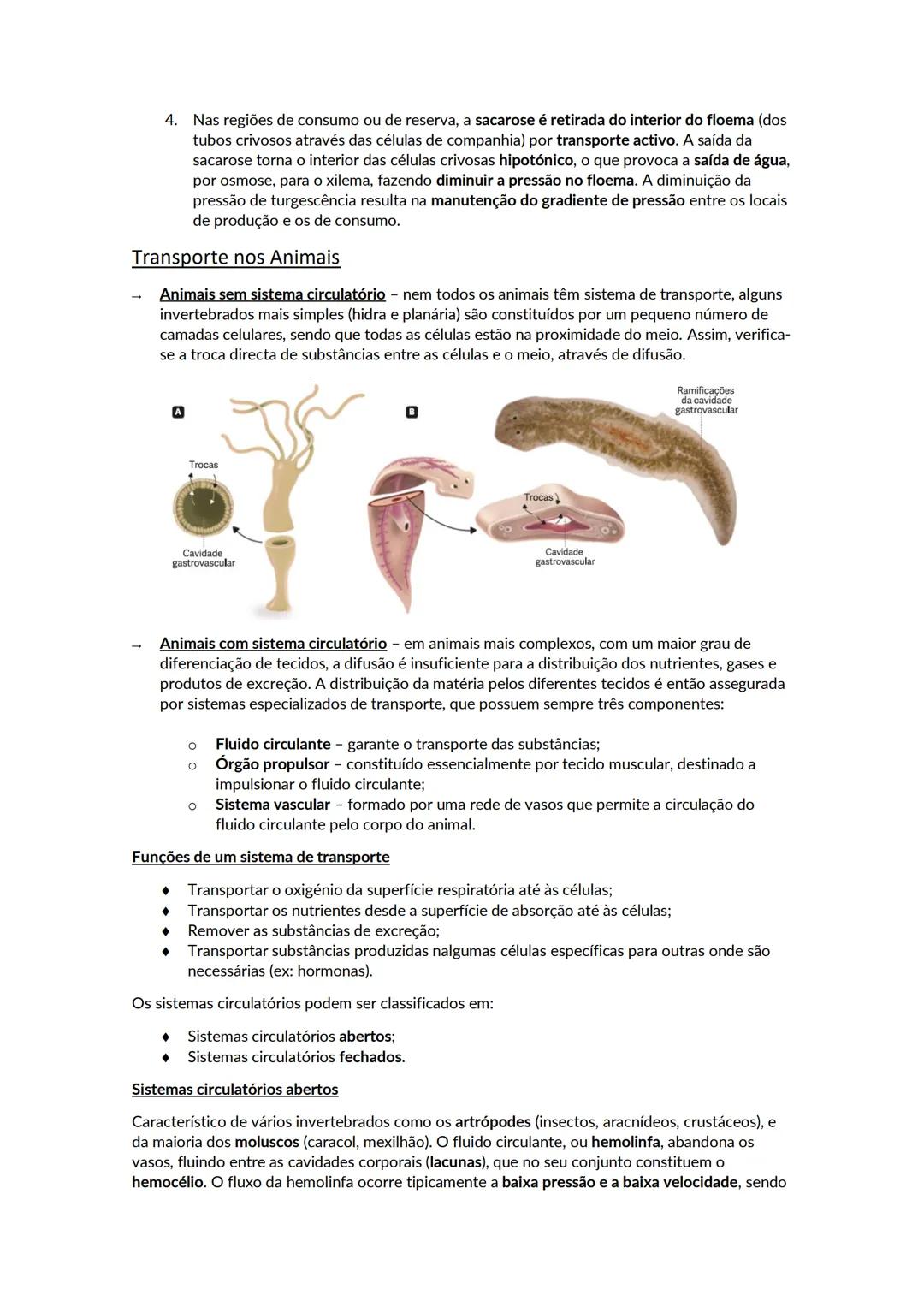 # A biosfera
Biosfera - conjunto de todos os locais da Terra onde é possível encontrar vida, os organismos que ai habitam e as inter-relaçõ