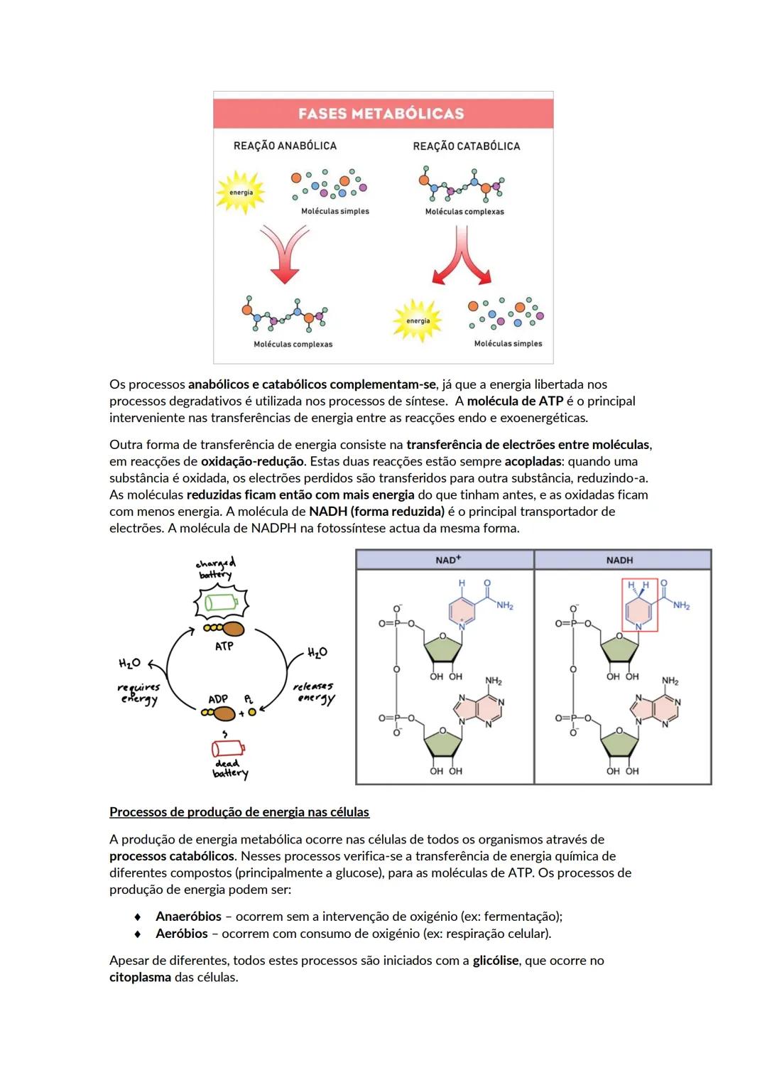 # A biosfera
Biosfera - conjunto de todos os locais da Terra onde é possível encontrar vida, os organismos que ai habitam e as inter-relaçõ