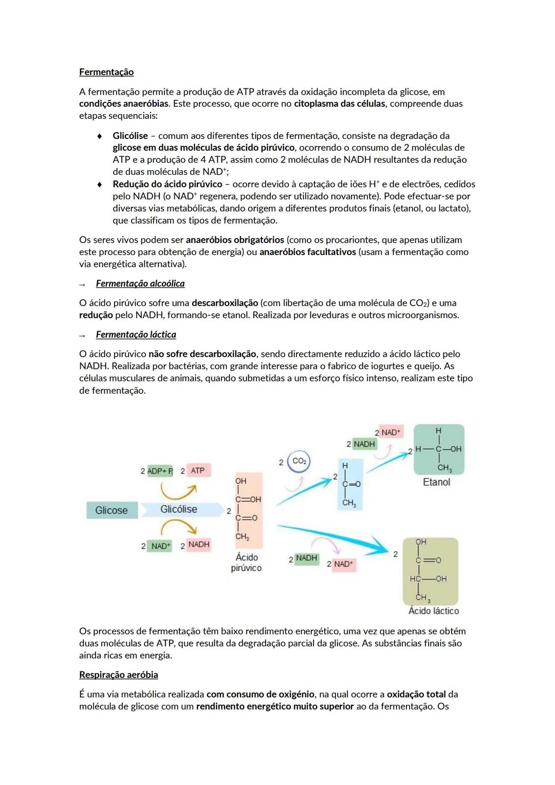 # A biosfera
Biosfera - conjunto de todos os locais da Terra onde é possível encontrar vida, os organismos que ai habitam e as inter-relaçõ