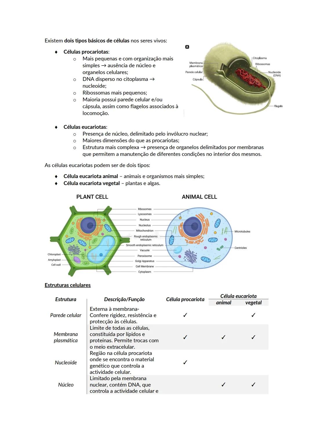 # A biosfera
Biosfera - conjunto de todos os locais da Terra onde é possível encontrar vida, os organismos que ai habitam e as inter-relaçõ