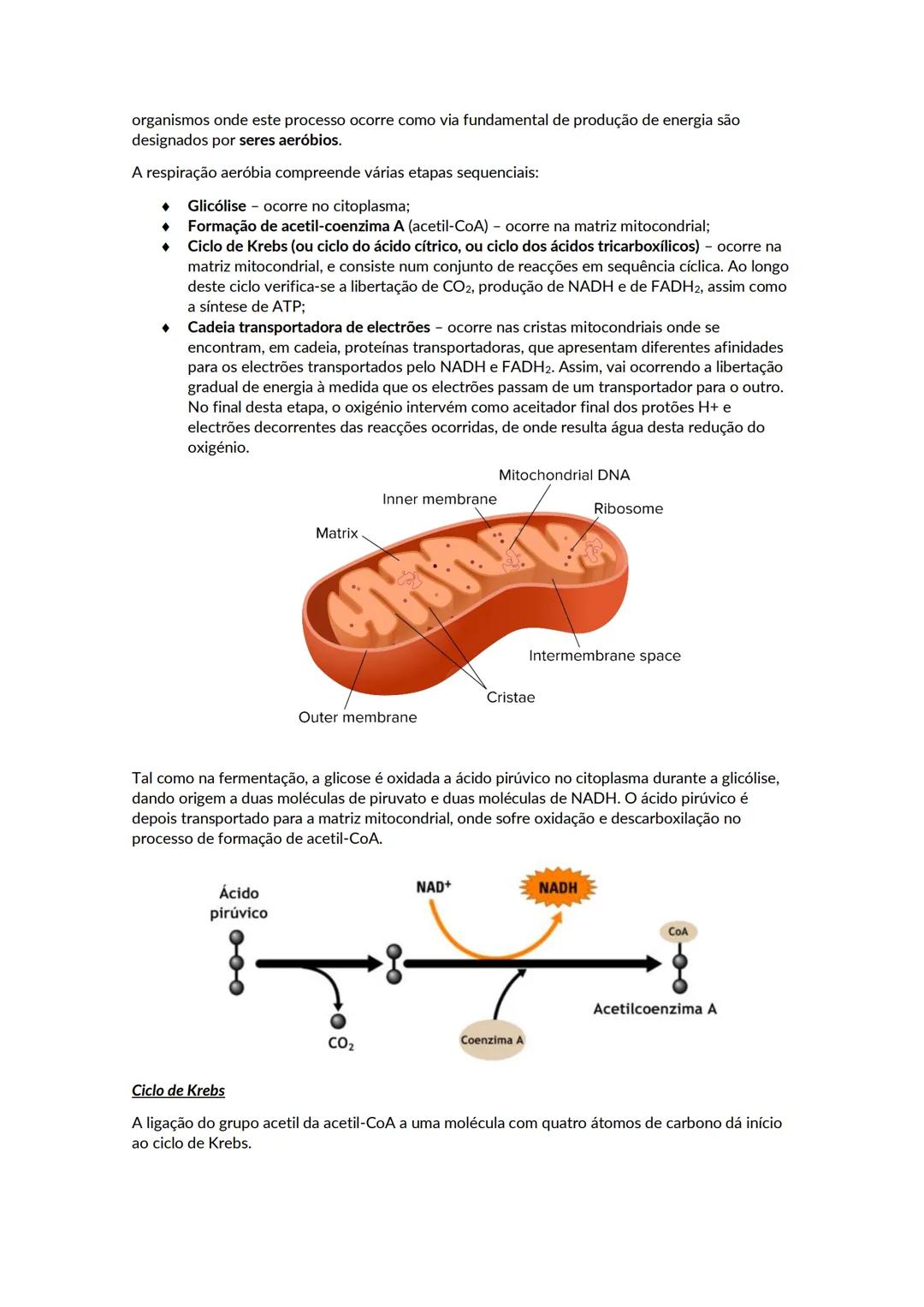 # A biosfera
Biosfera - conjunto de todos os locais da Terra onde é possível encontrar vida, os organismos que ai habitam e as inter-relaçõ