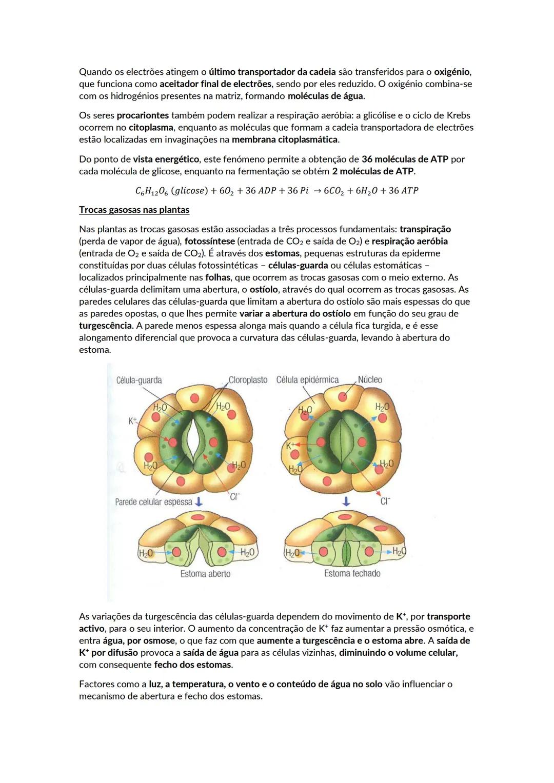 # A biosfera
Biosfera - conjunto de todos os locais da Terra onde é possível encontrar vida, os organismos que ai habitam e as inter-relaçõ