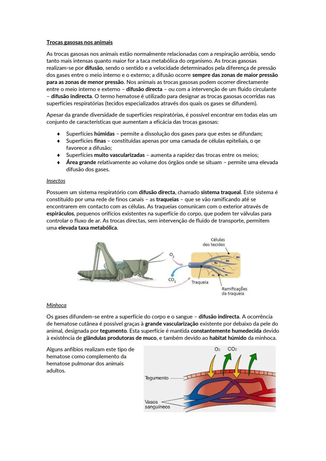 # A biosfera
Biosfera - conjunto de todos os locais da Terra onde é possível encontrar vida, os organismos que ai habitam e as inter-relaçõ